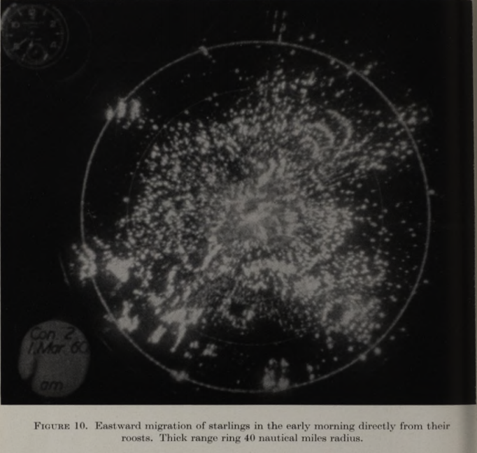 angels_1.png angels_1.png